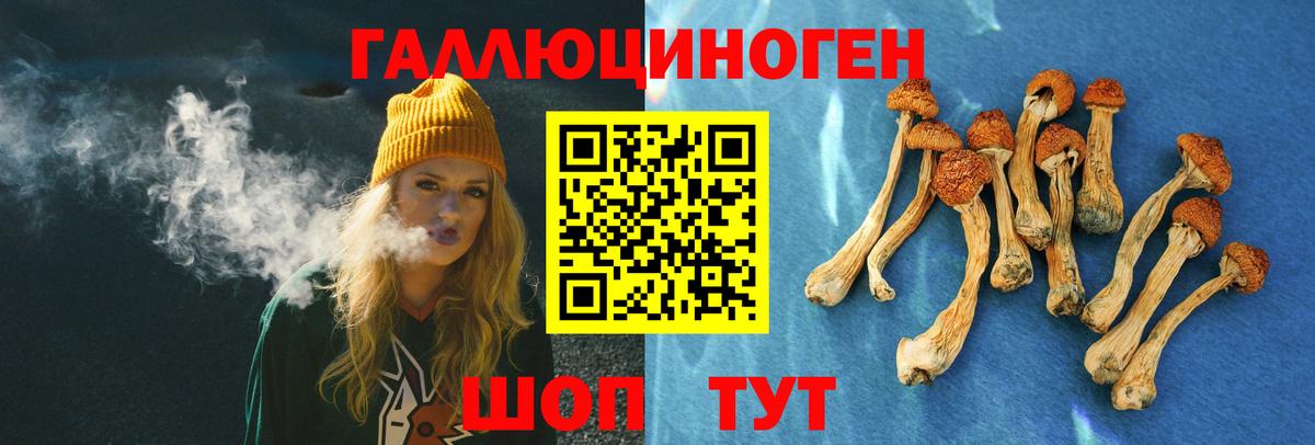 Галлюциногенные грибы Magic Shrooms  Псилоцибиновые грибы прущие грибы  Вход с VPN  цены   Кызыл 